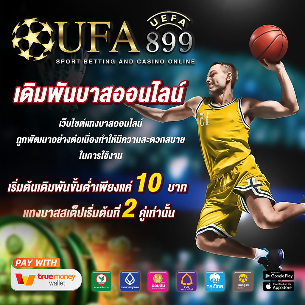 seo优化外包哪家好角色详情截图3